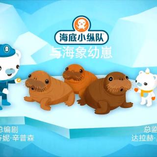 100第四季 第1集 海底小纵队与海象幼崽