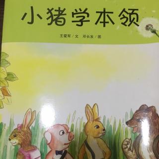 小猪学本领