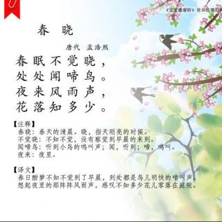 唐诗春晓的诗意_唐诗春晓的教案怎么写_唐诗春晓歌曲