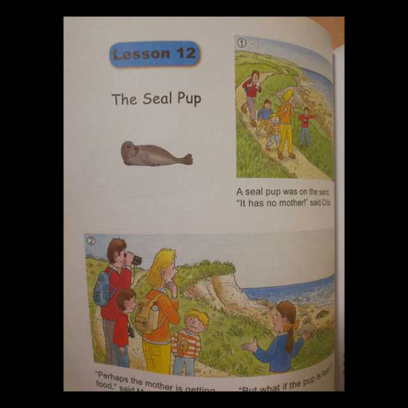 the seal pup