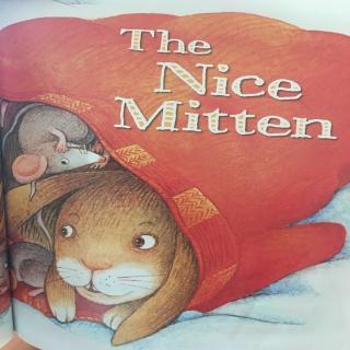 the nice mitten