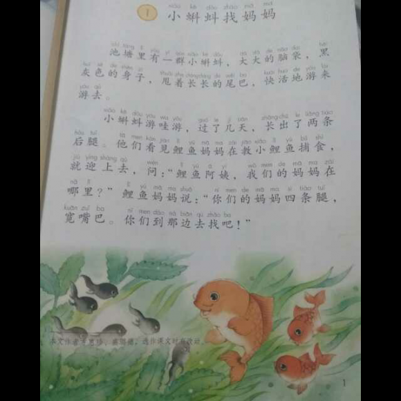 哲宝的小蝌蚪找妈妈 二年级语文上 册