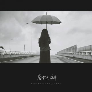 只因人在风中,聚散不由你我