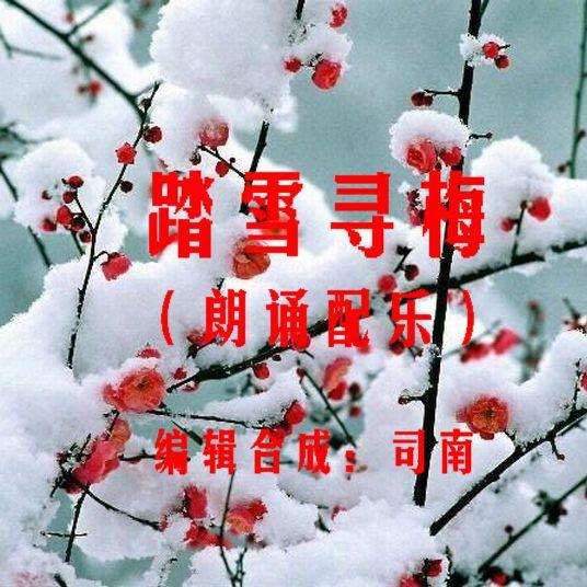 《踏雪寻梅》朗诵配乐.编辑合成:司南