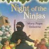 Night of Ninjas/Chapter5:Flames in the Mist