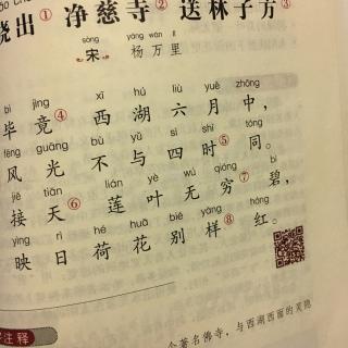 晓出净慈寺送林子方 宋 杨万里