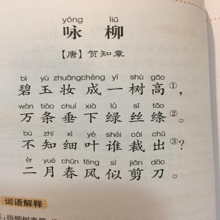 咏柳唐贺知章