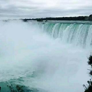 【深圳英语8年级上Unit 4单词朗读】在线收听