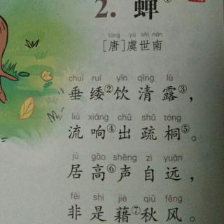 蝉