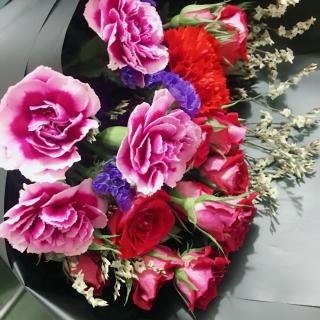 【《九张机》毁歌咯 又开始】在线收听_情节人