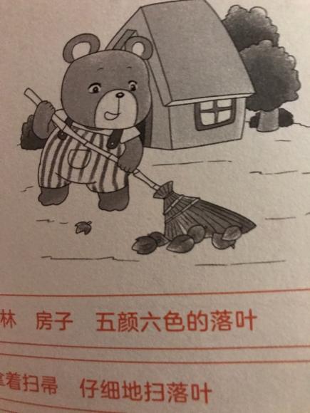 08 小熊扫落叶图片