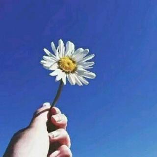 【人生不过是一场旅行】在线收听_难能动心的