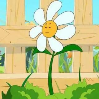 【睡前故事】心胸宽广的小雏菊,活在幸福里(上篇)