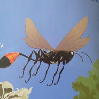 【法布尔昆虫记:舍腰蜂-怕冷的泥水匠】在线收