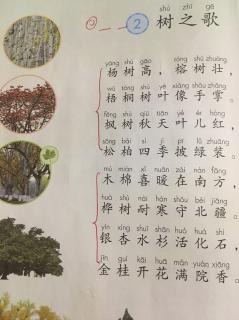 树之歌前四句