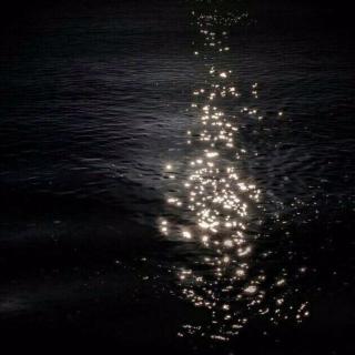 【【二声】I like for you to be still】在线收听_七