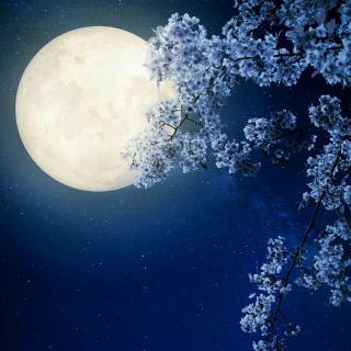 寂静的夜空