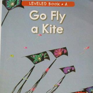 15-go fly a kite