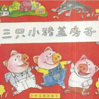 三只小猪的故事