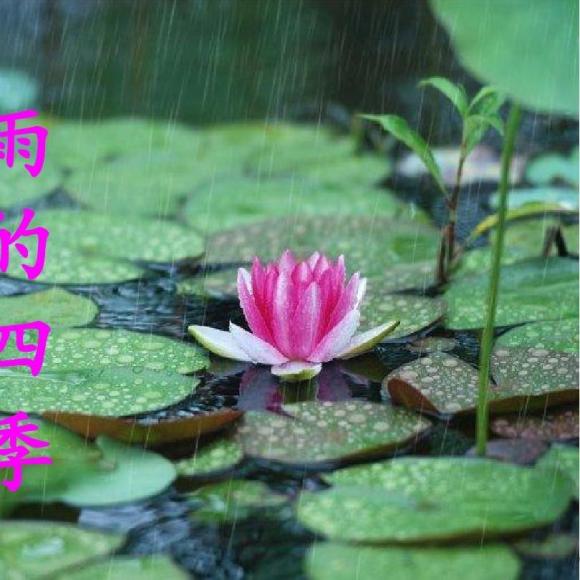 手绘雨的四季思维导图