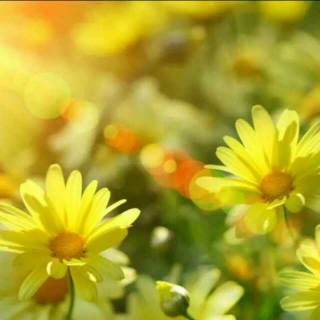 动机至善,私心了无。抱纯粹之心,走人生之路】