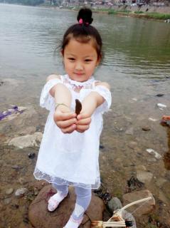 【背:日田 禾 火笔画组词 读识字5:对韵歌 故事