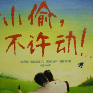 小偷,不许动!