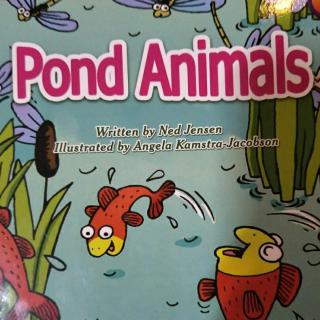 pond animals