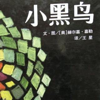 享阅时光绘本馆 小黑鸟 主播: 享阅时光绘本馆 34 1