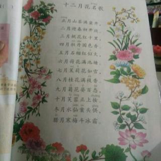 【十二月花名歌】在线收听_初诗尧2的播客_荔枝FM