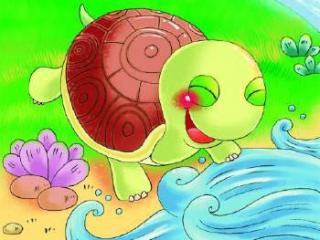 【聪明的小乌龟】在线收听_厚德载物的播客_荔枝FM