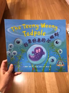 好急好急的小蝌蚪英文