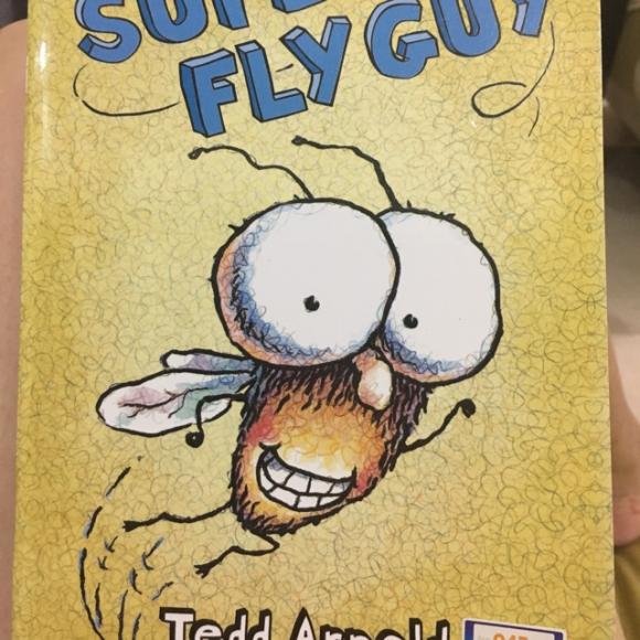 super fly guy