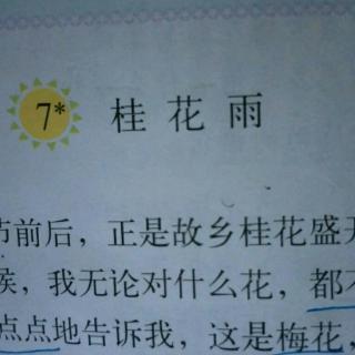 第七课,桂花雨