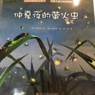 仲夏夜的萤火虫