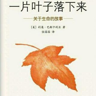 【一片叶子落下来】在线收听_绘本童年爱心频道_荔枝