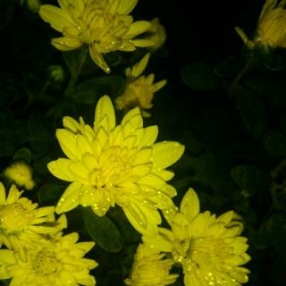 【2017.09.28 从咖啡馆跑堂到奥运冠军】在线