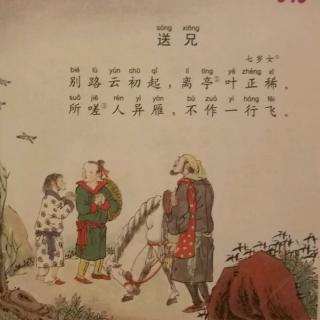 【送兄(唐)七岁女】在线收听_Ryan之声_荔枝FM