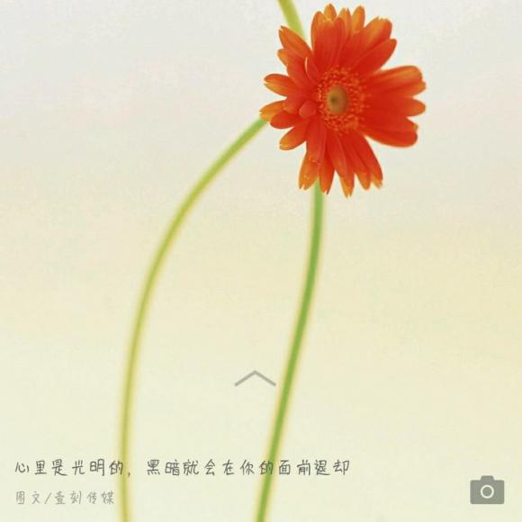 我又想你了我的爱人