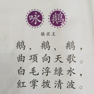 唐诗 第一首 咏鹅