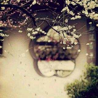 【梨花凉】在线收听_栢墨的播客_荔枝FM