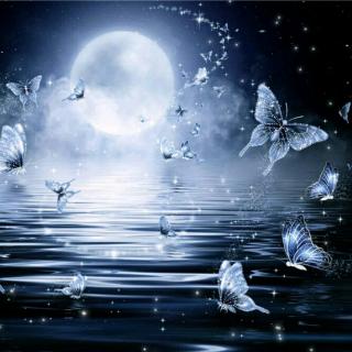 【原谅我不善言辞,只懂默默陪伴】在线收听_鹿