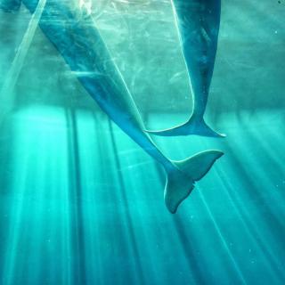 【Coco英语练习2017.10.6】在线收听_可可豆