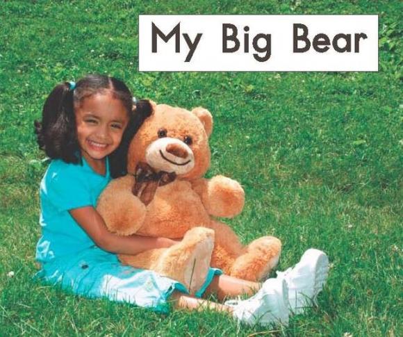 my big bear