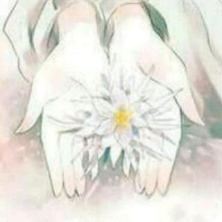 【红尘陌上雪,散落随花开】在线收听_筱筱的播