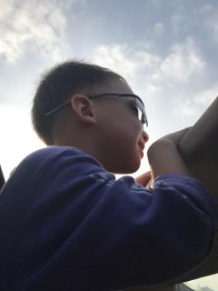 【导读文章 少食多餐】在线收听_姑姑的播客_