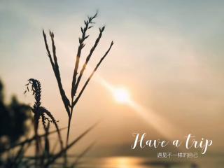 【导读文章 富足是如何运作的】在线收听_姑姑