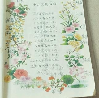 背诵十二月花名歌