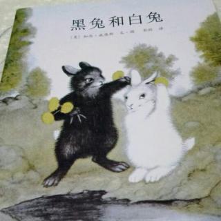 黑兔和白兔