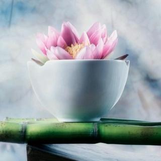 【谁都不容易,请不要搬弄是非】在线收听_lisa